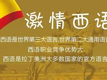 费用揭秘