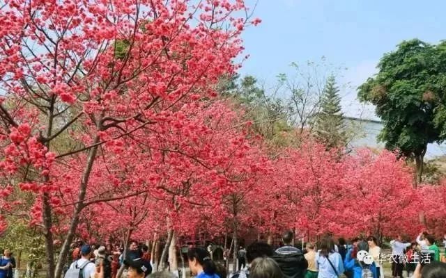 在线报名 第812页