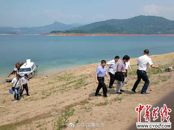 成功案例 第790页