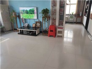 在线报名 第805页