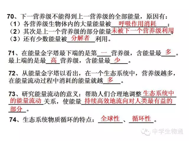 成功案例 第782页
