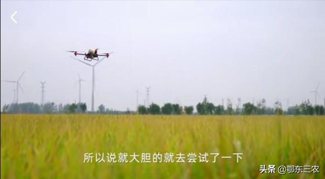 最新的农业研究成果有,最新农业研究成果引领农业现代化新篇章