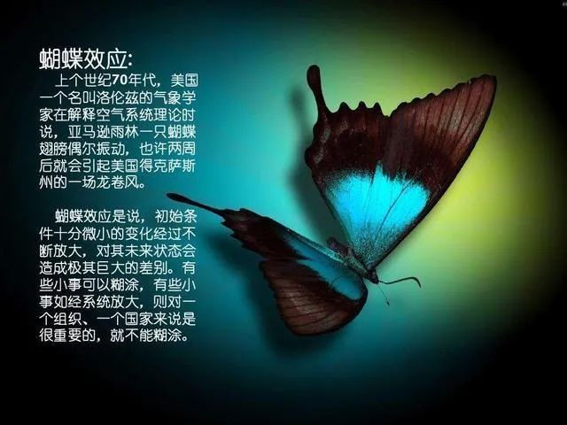 橘虞初梦 第26页
