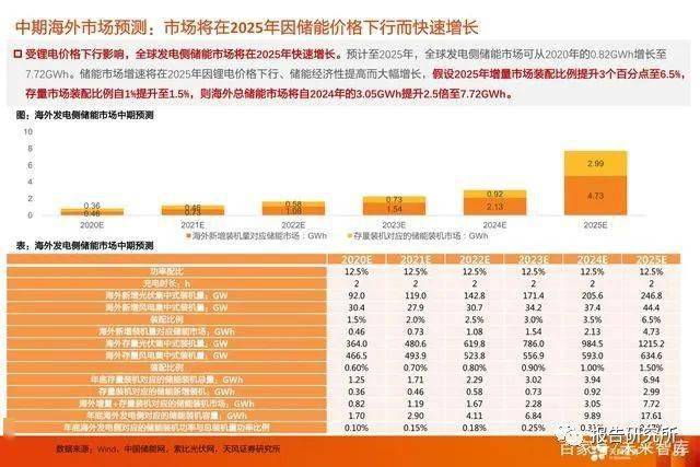 2024新澳精准资料,经济性执行方案剖析_视频版57.933