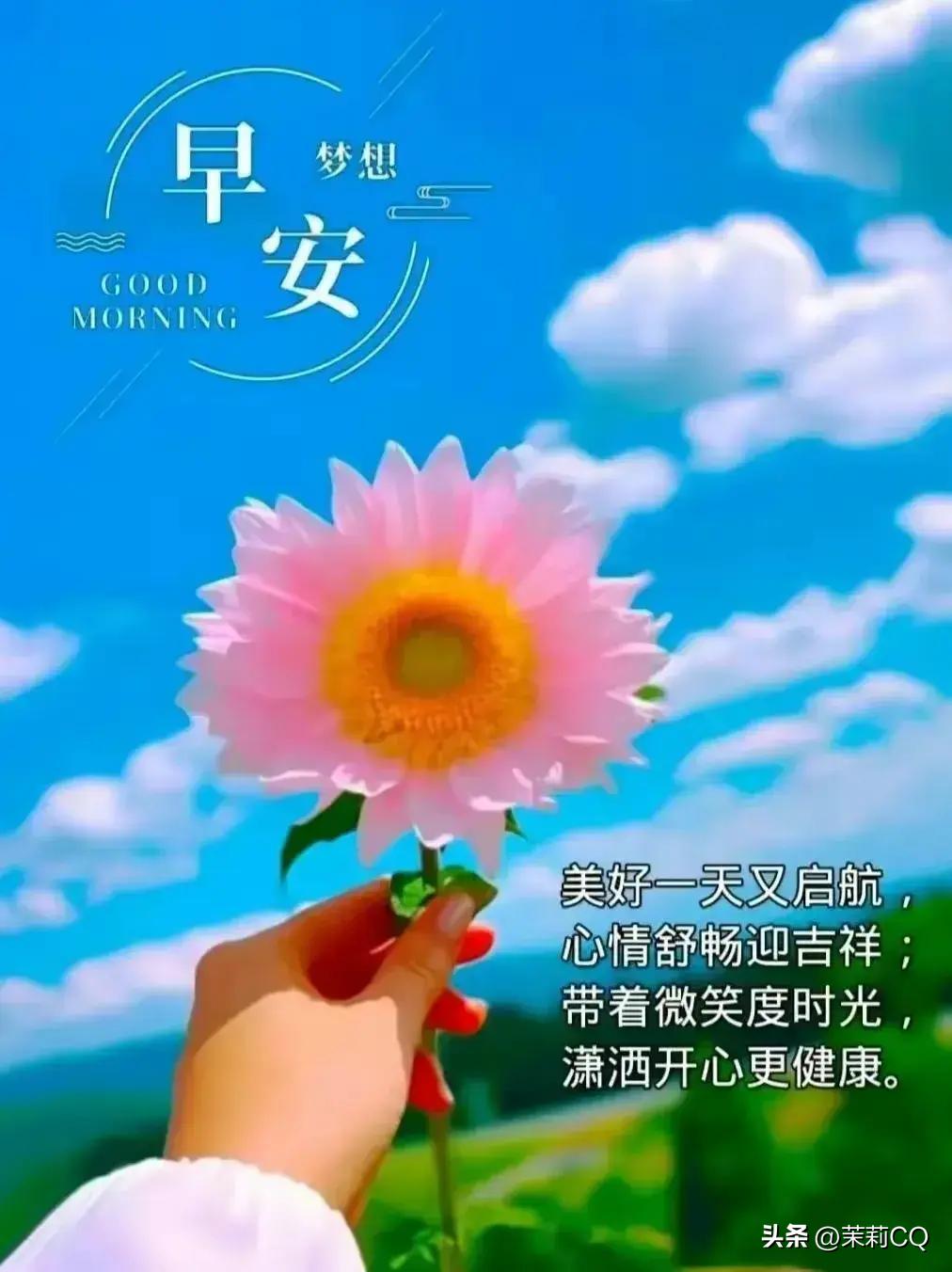 在线报名 第716页