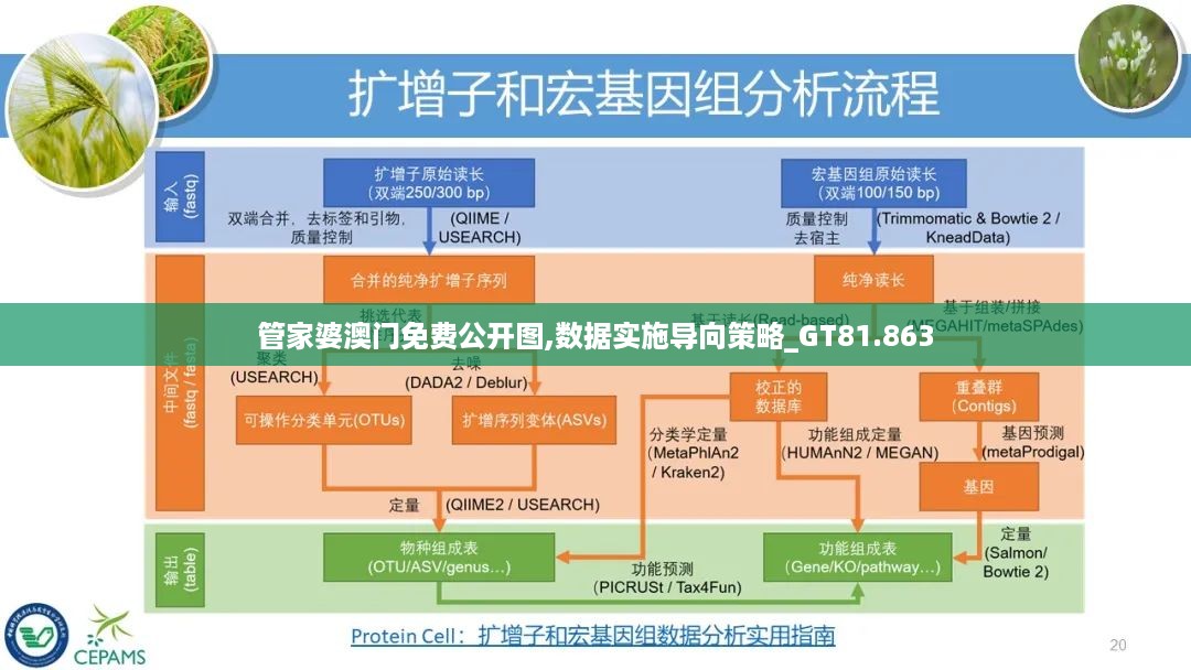 数据实施导向策略