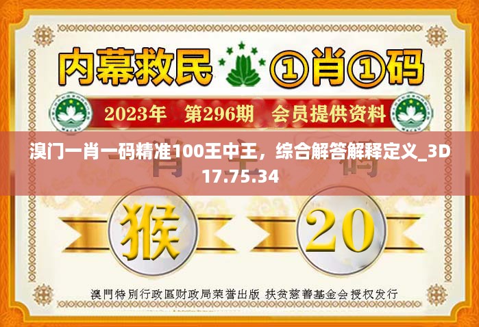 溴门一肖一码精准100王中王，综合解答解释定义_3D17.75.34