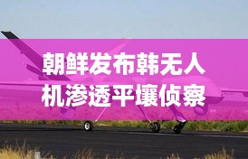 朝鲜公布韩无人机渗透侦察结果深度解析，无人机侦察技术揭秘与影响分析