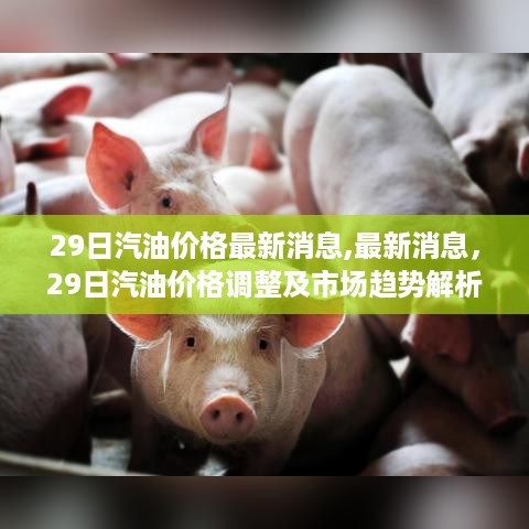 淼天淼地 第7页