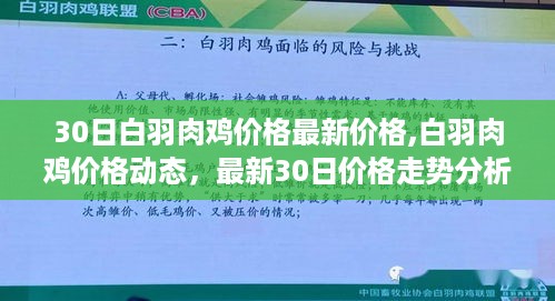 花开无言 第8页