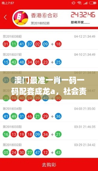 澳门最准一肖一码一码配套成龙a，社会责任法案实施_网络版3.86.533