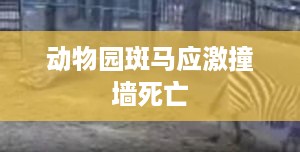 心急如焚 第54页