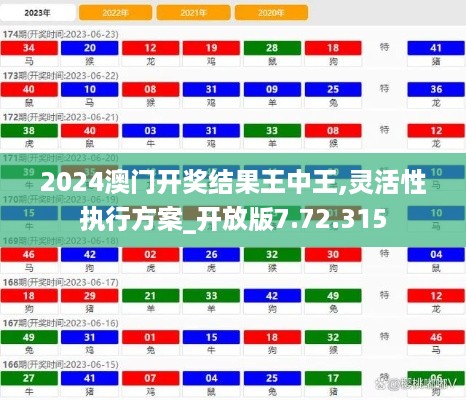 灵活性执行方案