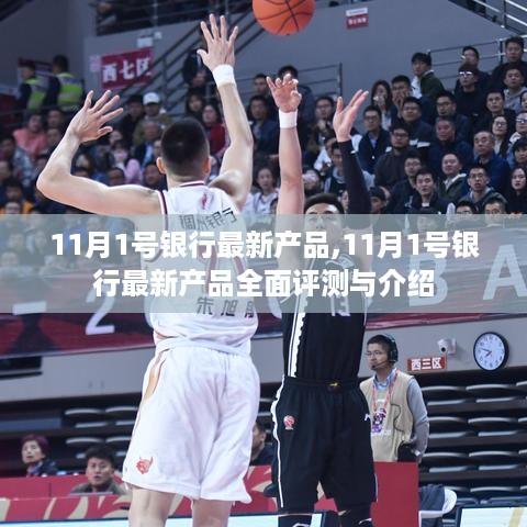 全面评测与介绍