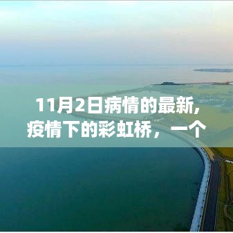 疫情下的彩虹桥，友情与陪伴的温馨故事更新至11月2日