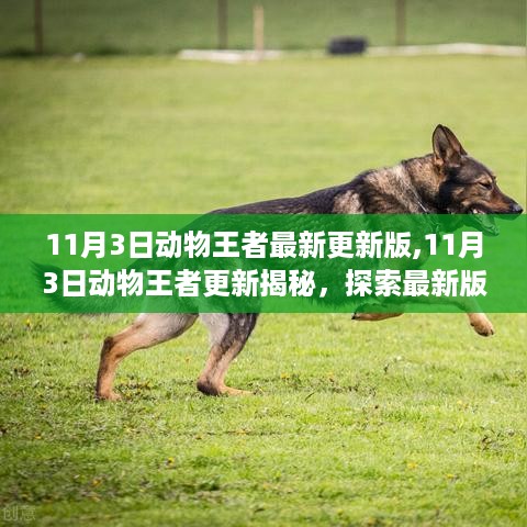 肝胆相照 第39页
