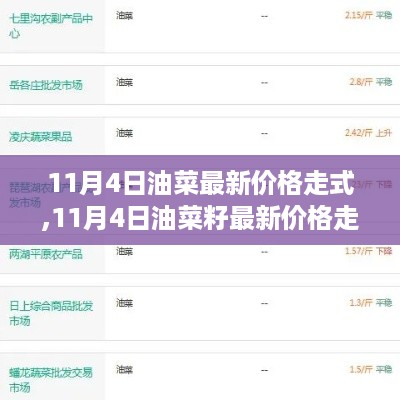 成功案例 第539页