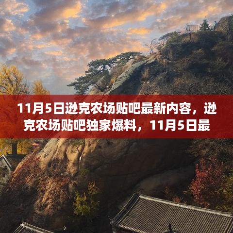 11月5日逊克农场贴吧独家爆料与精彩内容汇总