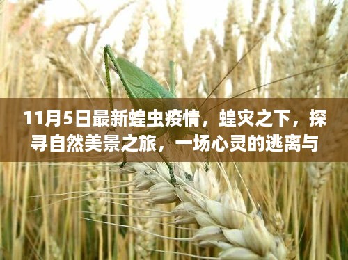 通知资讯 第535页
