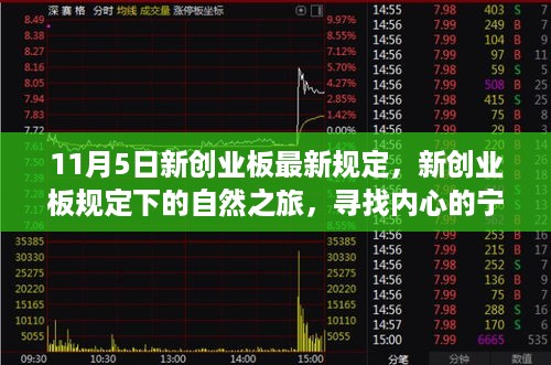 成功案例 第525页