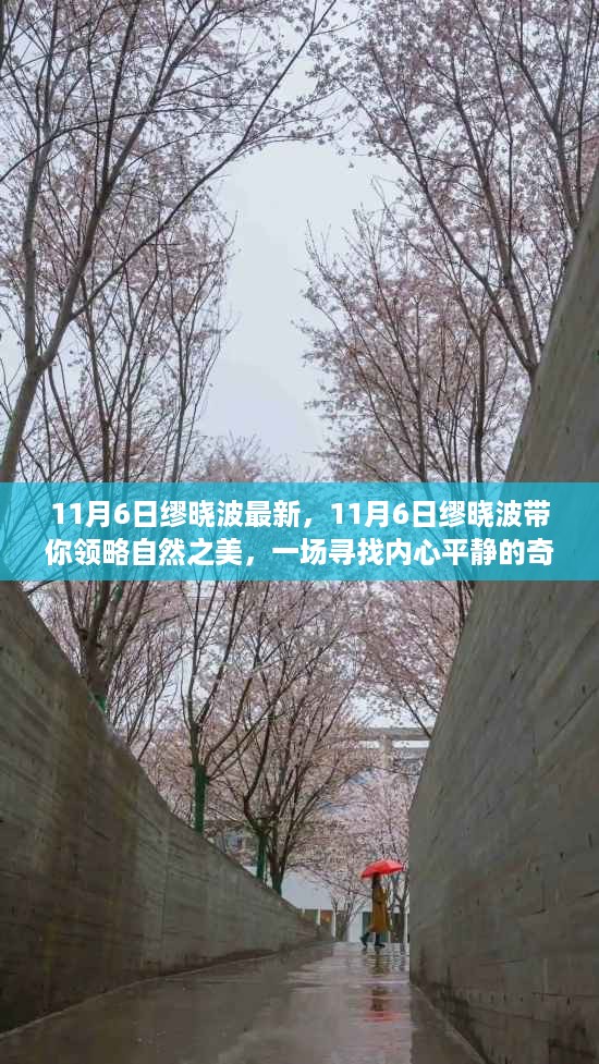 11月6日缪晓波带你探寻自然之美，心灵平静之旅