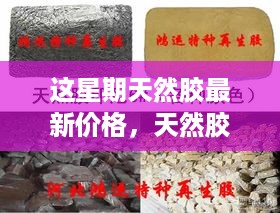 眉飞色舞 第29页