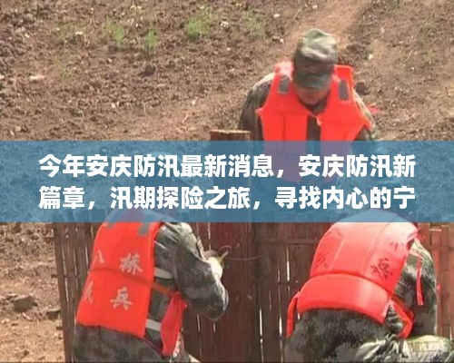 安庆防汛最新动态，汛期探险之旅，美景与内心宁静的交融