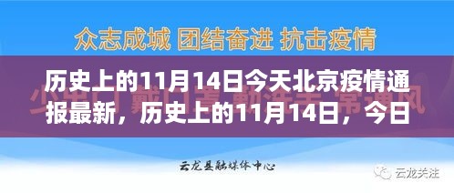 历史上的11月14日北京疫情最新通报及进展速递