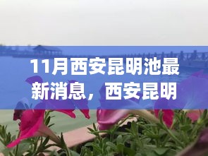 神采奕奕 第26页