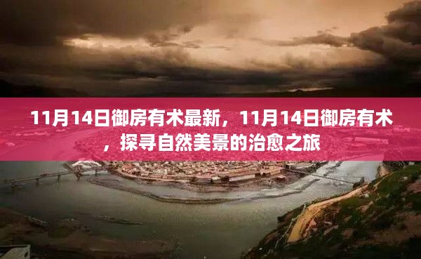 张牙舞爪 第23页