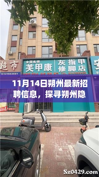 在线报名 第480页