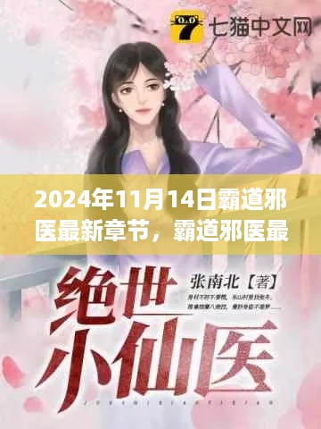 霸道邪医最新章节获取攻略，教你轻松阅读指南（2024年11月14日更新）