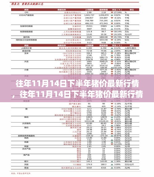 成功案例 第457页