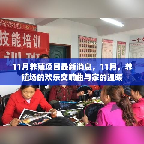 目不转睛 第18页