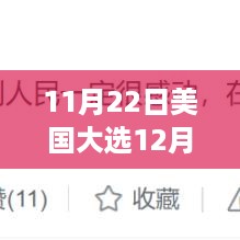 美国大选最新进展深度解析，三大要点揭示的12月视角观察