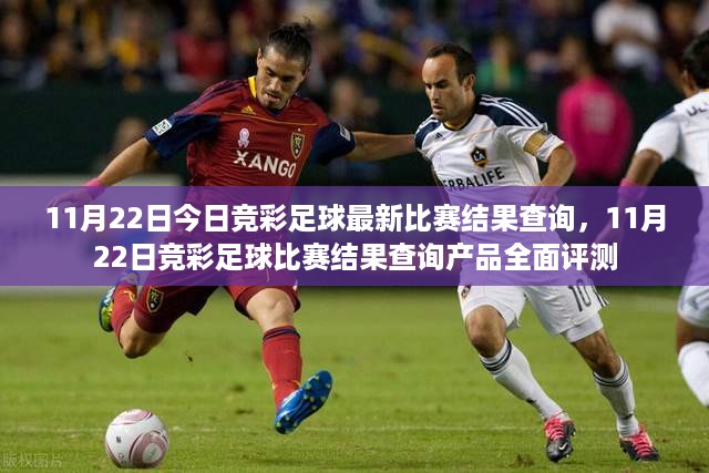 张牙舞爪 第17页