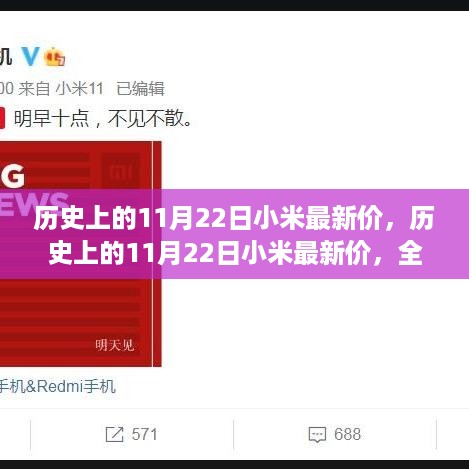 历史上的11月22日小米最新价，全面评测与深度分析