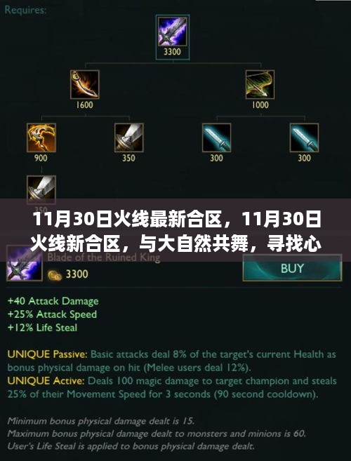 11月30日火线最新合区，共舞大自然，寻找心灵港湾