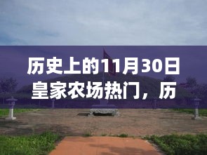 走马观花 第13页