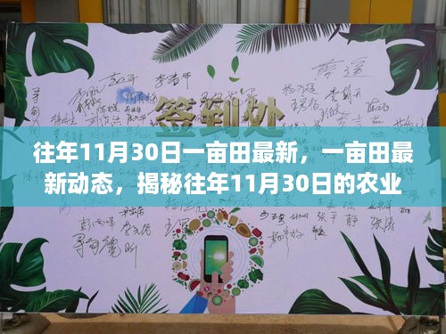 揭秘，往年11月30日一亩田的最新动态与农业变革趋势展望