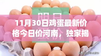 风驰电掣 第14页