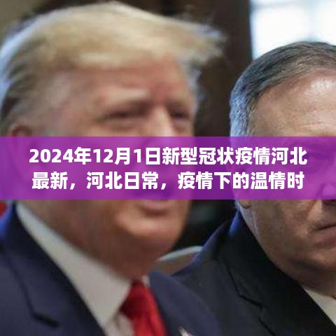 容光焕发 第12页