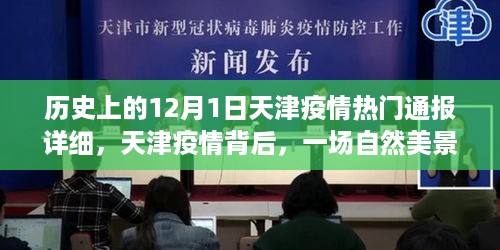 天津疫情通报背后的自然美景之旅，寻找内心的平和与宁静之路