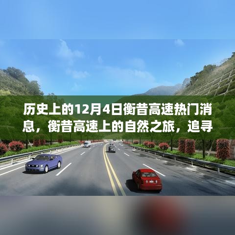 目不转睛 第5页
