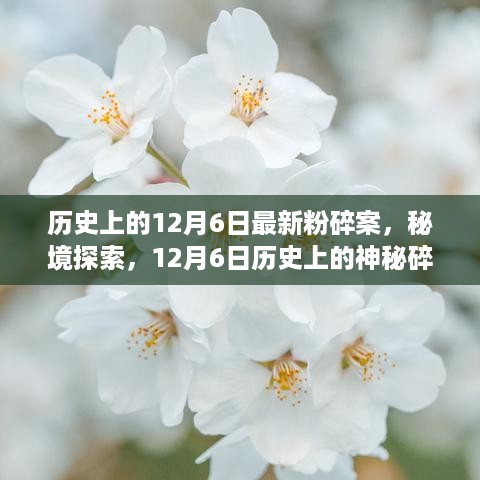 揭秘历史，12月6日神秘事件与秘境探索，巷弄中的独特风味揭秘