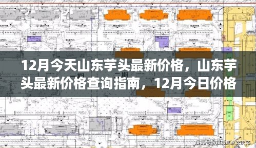 肝胆相照 第4页