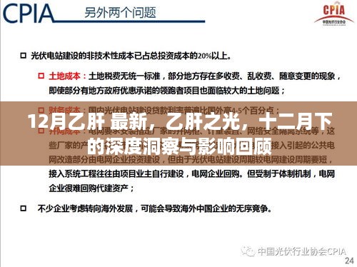 12月乙肝 最新，乙肝之光，十二月下的深度洞察与影响回顾