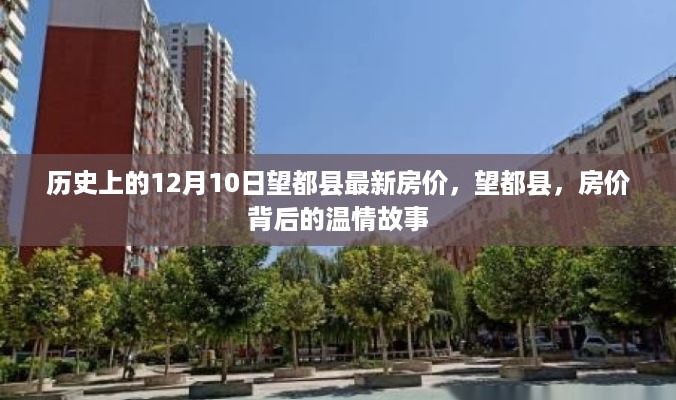 神采奕奕 第3页