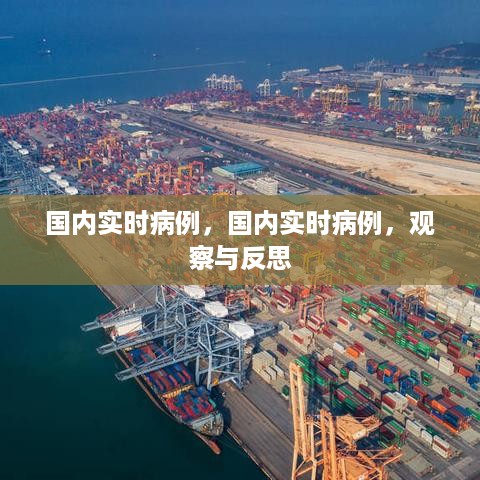 国内实时病例的观察与反思