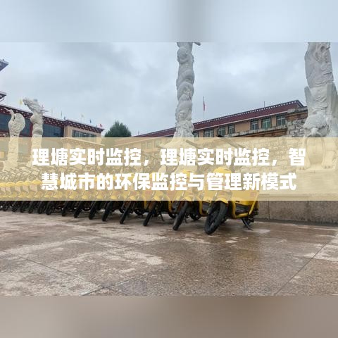 越鸟南栖 第3页